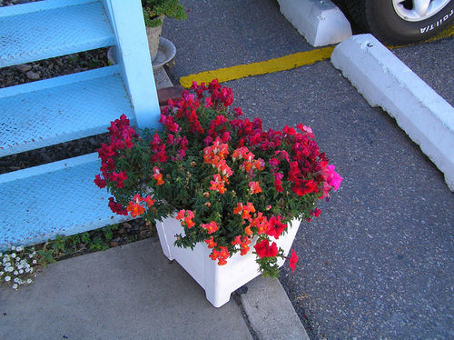 Hiway House Motel Albuquerque Exterior photo